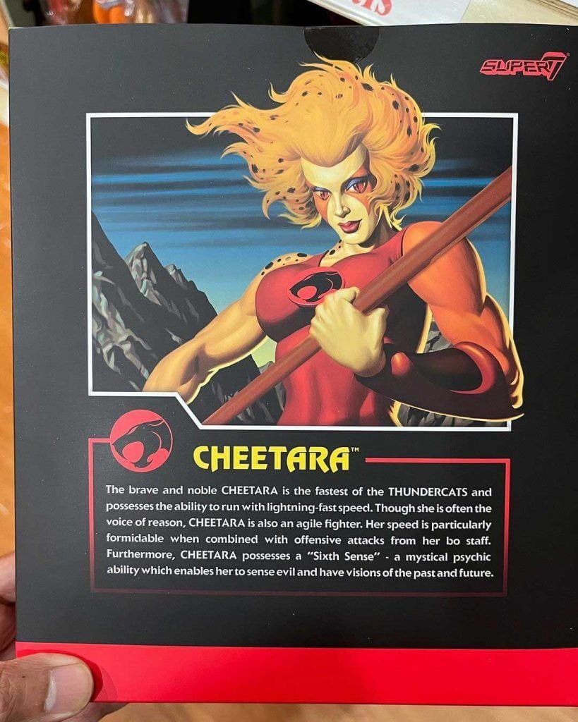 Cheetara-ThunderCats-Ultimates-Wave-6-In-Hand-3