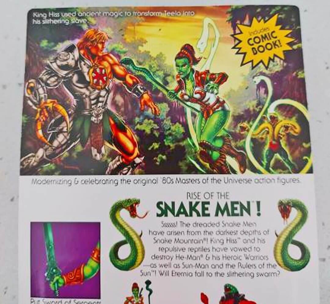 MOTU Origins Snake Teela cardback rear Wave 13 in hand close up