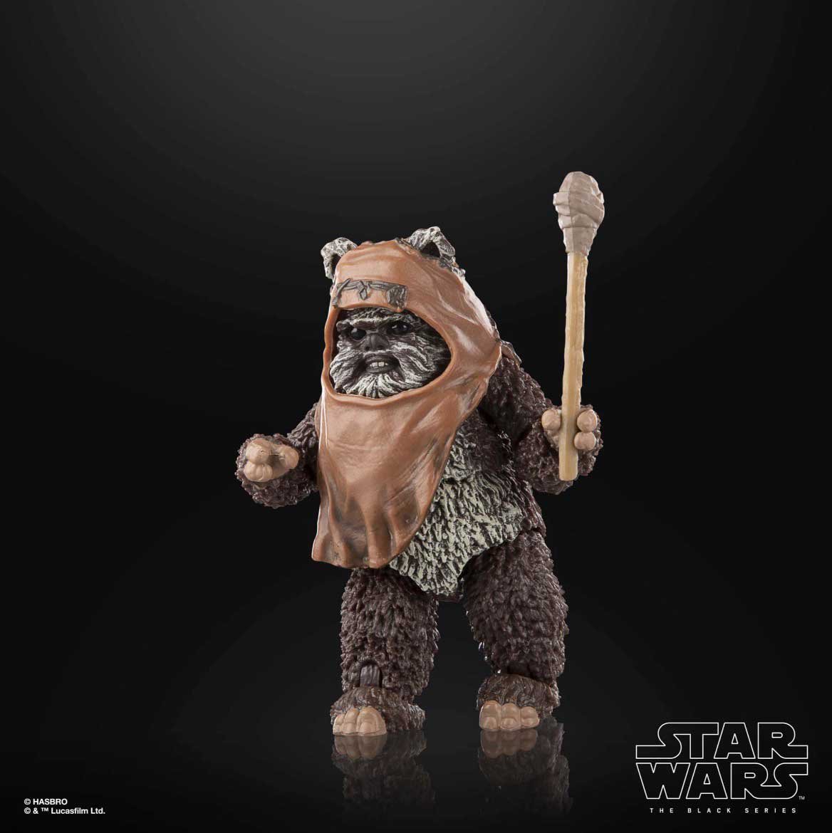 Wicket-Star-Wars-Black-Series-Return-of-the-Jedi-1-