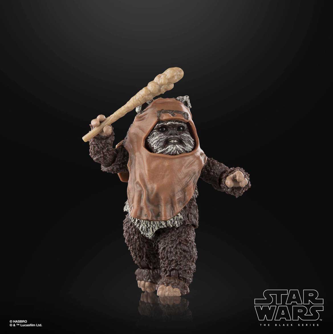 Wicket-Star-Wars-Black-Series-Return-of-the-Jedi-2