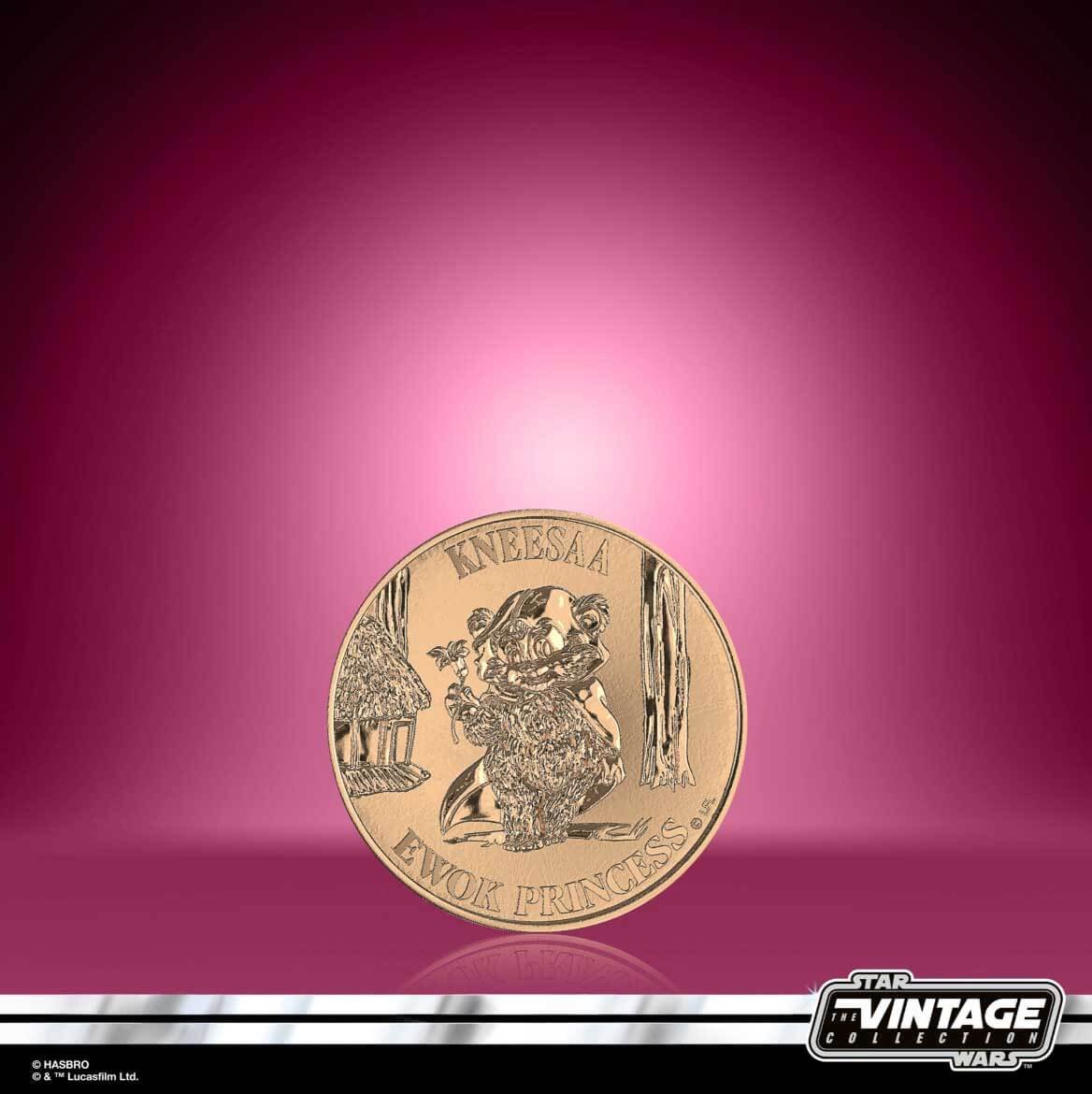 Wicket-and-Kneesaa-Star-Wars-Ewoks-Vintage-Collection-1