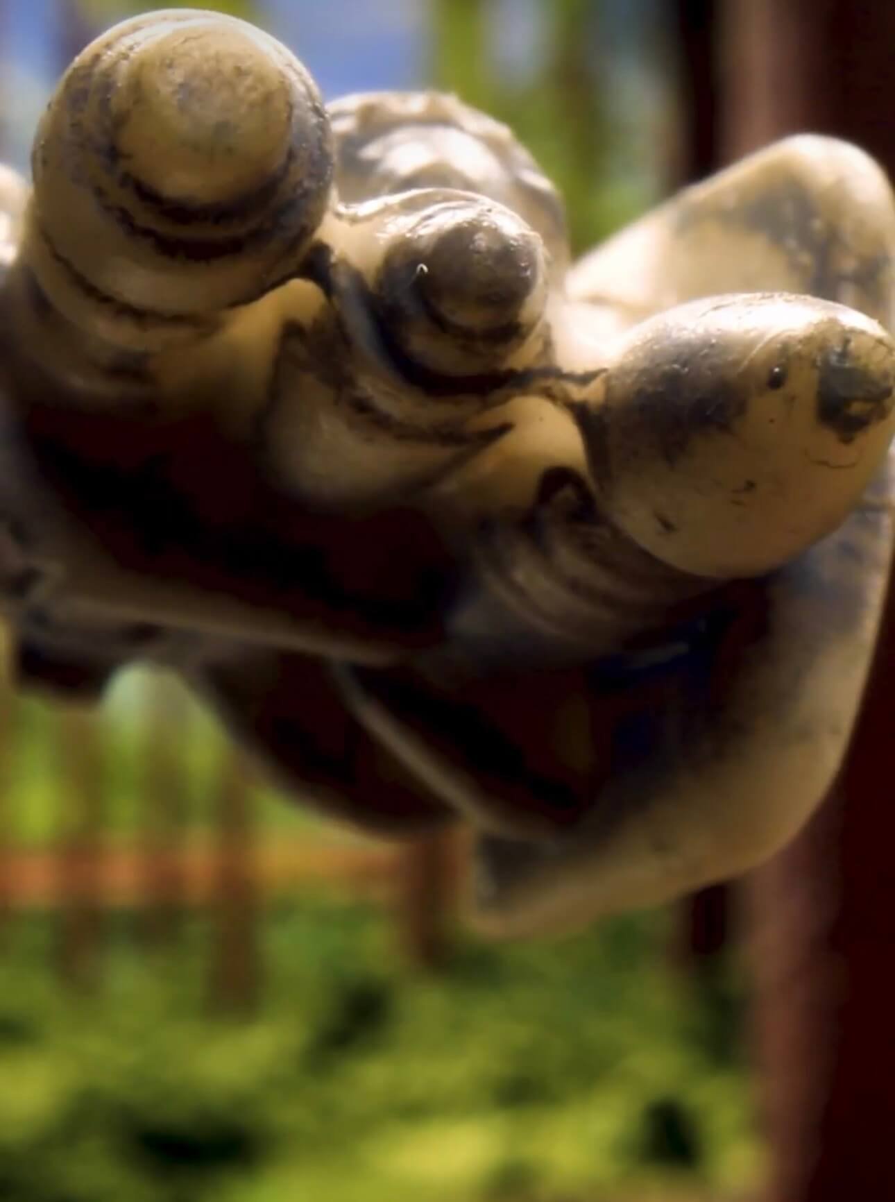 Hot Wheels Starships Select AT ST w Chewie 11