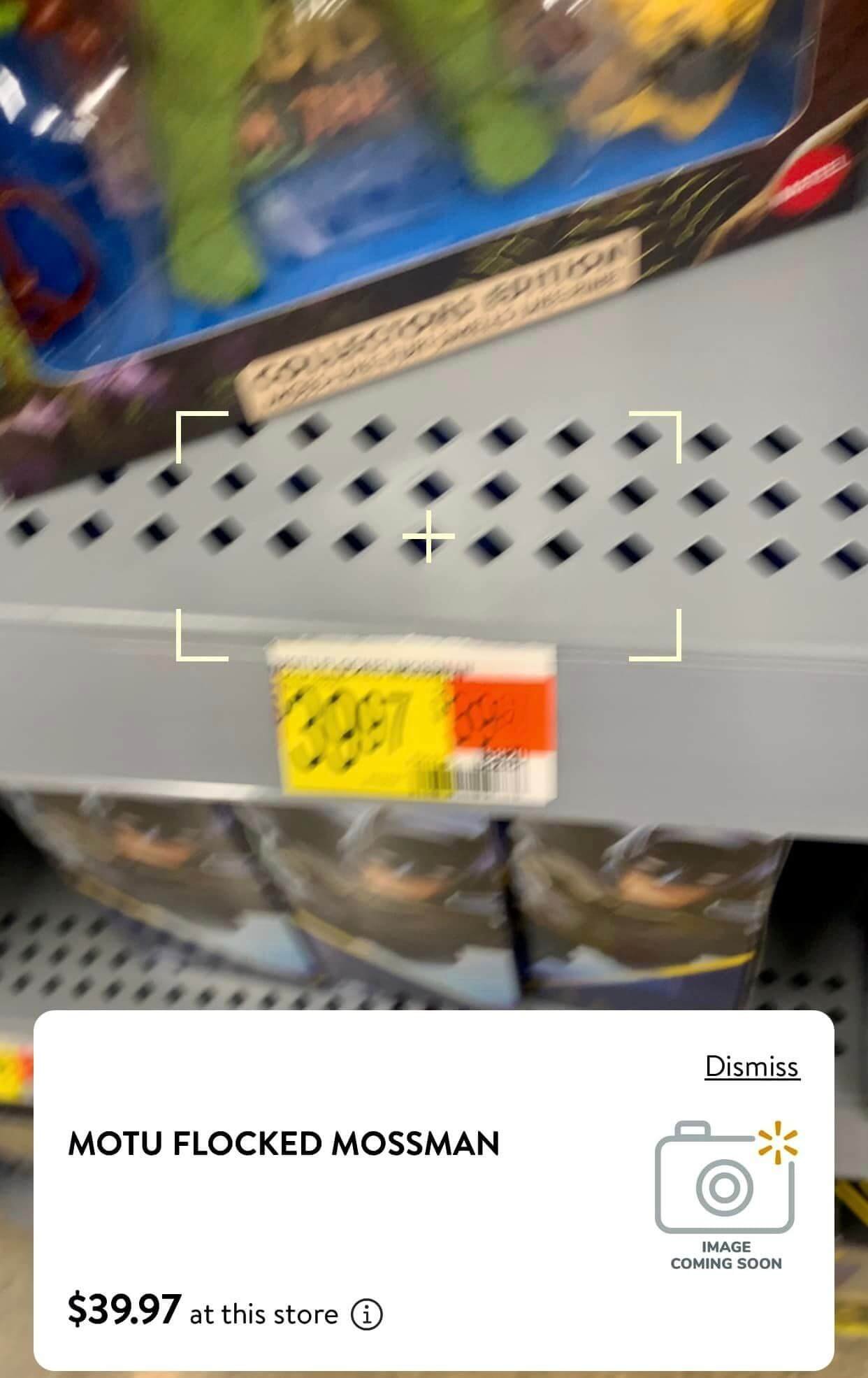 Moss Man MOTU Origins in store Walmart 2