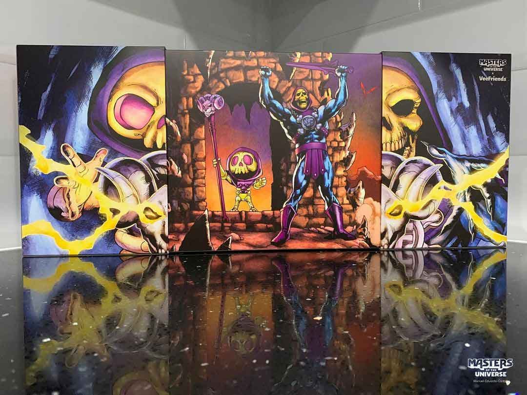 MOTU-Origins-Skeletor-x-VeeFriends-Skilled-Skeleton-2-Pack-Box-Art-4