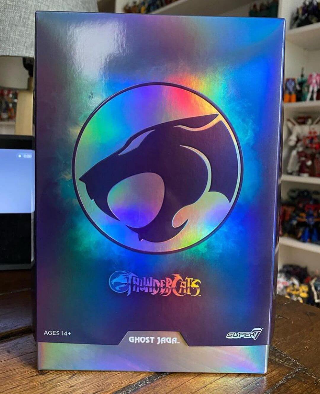 ThunderCats Ultimates Ghost Jaga in hand 3
