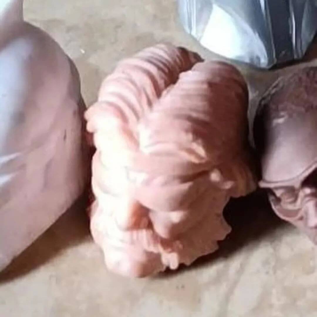 GI Joe Classified Torch & Alpine Head sculpts