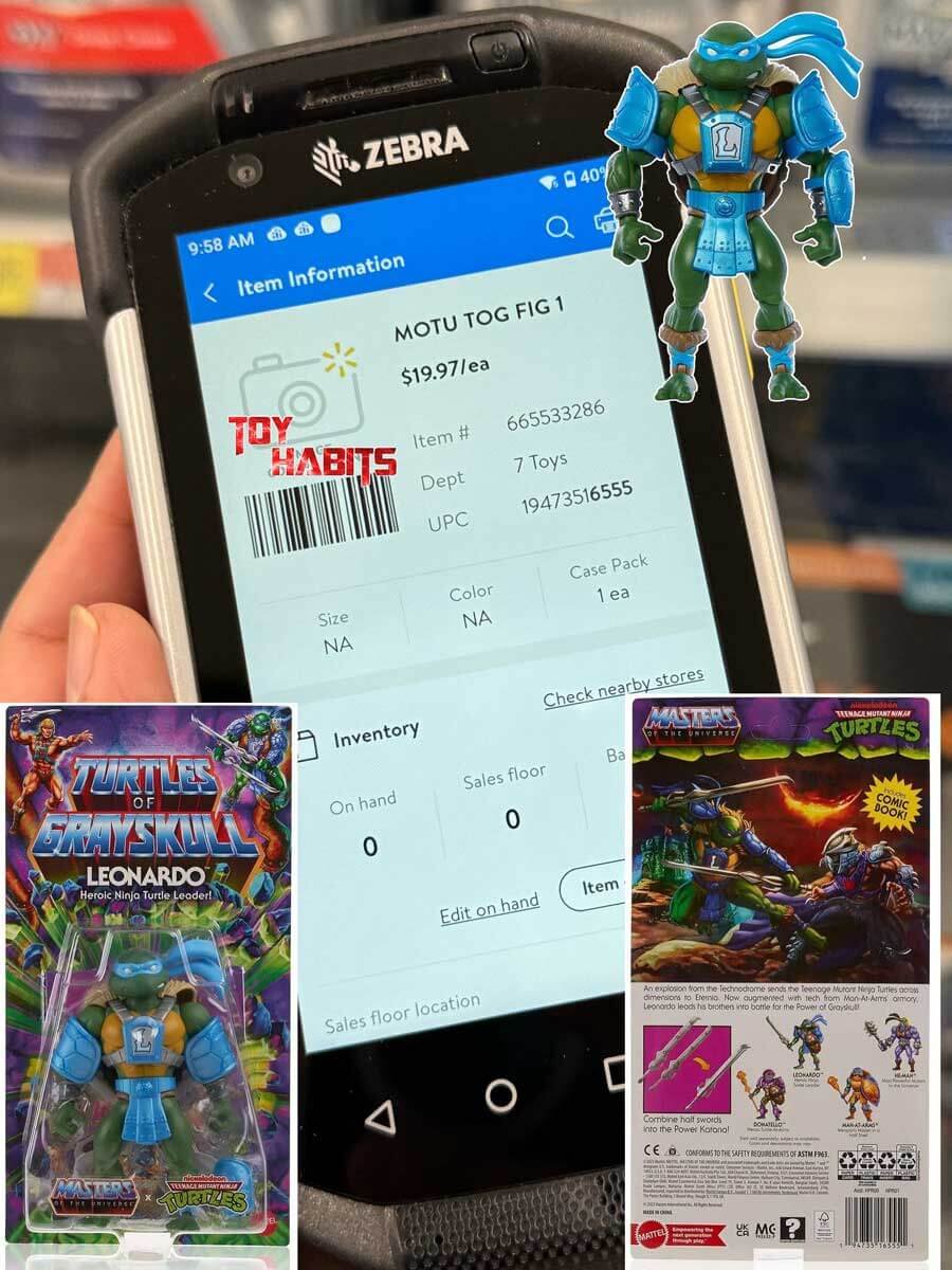 Leonardo-Turtles-of-Grayskull-Wave-1-Walmart-TOG-FIG-1