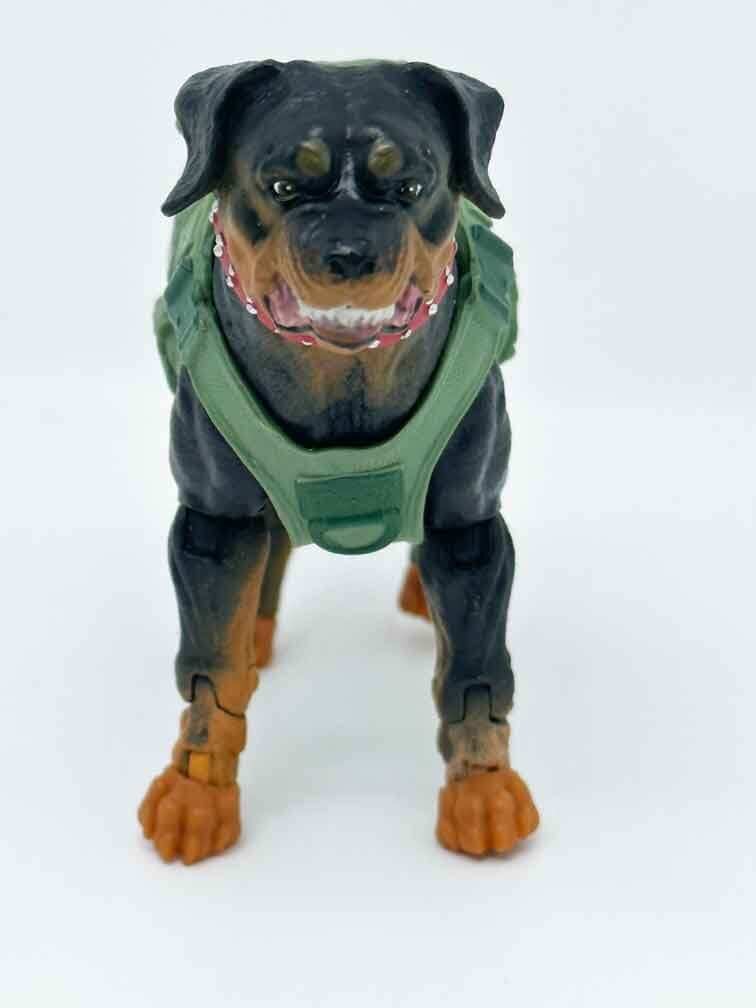 Gi-Joe-Classified-Junkyard-front