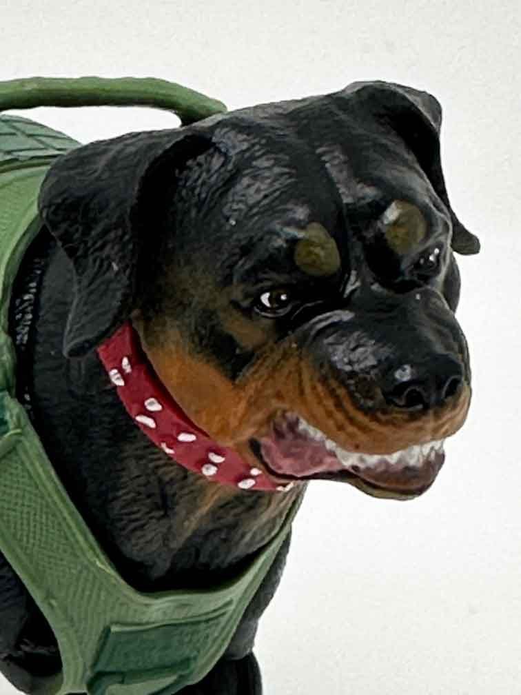 Gi-Joe-Classified-Junkyard-head-2