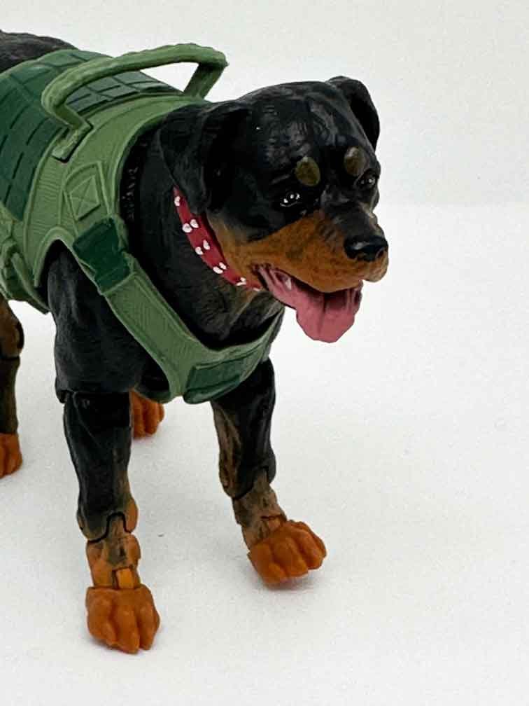 Gi-Joe-Classified-Junkyard-head-good-boy