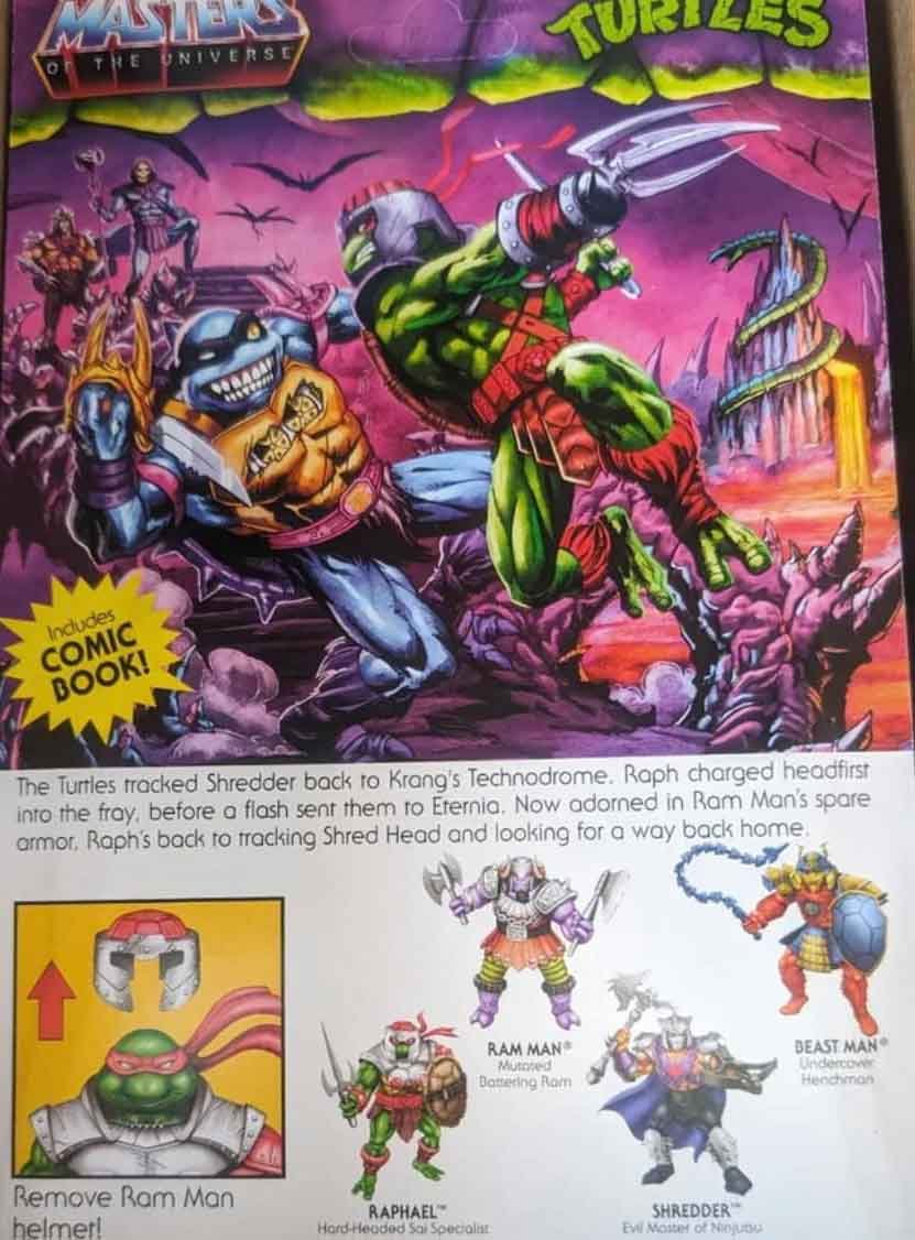 Raphael-Turtles-of-Grayskull-Wave-2-Card-Art-close