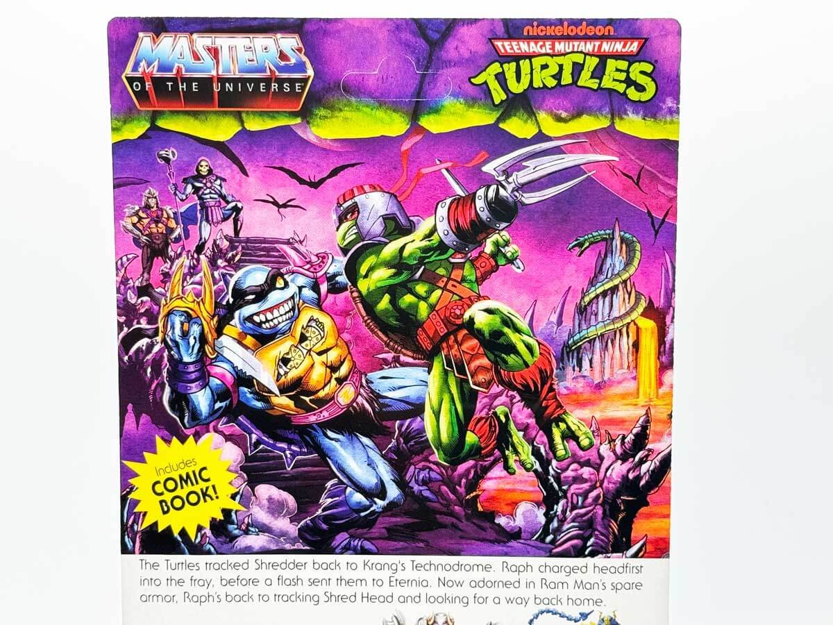 Raphael-Turtles-of-Grayskull-Wave-2-Review-Card-Art