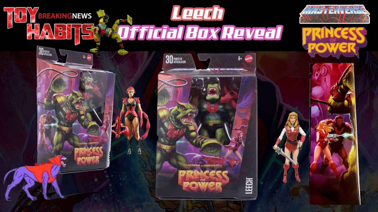 Leech Masterverse Princess of Power Official Box Art Tease