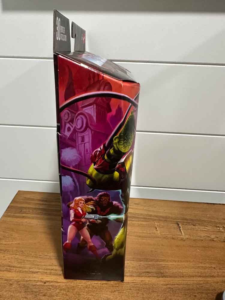 Princess-Of-Power-Leech-Masterverse-package-right--IH