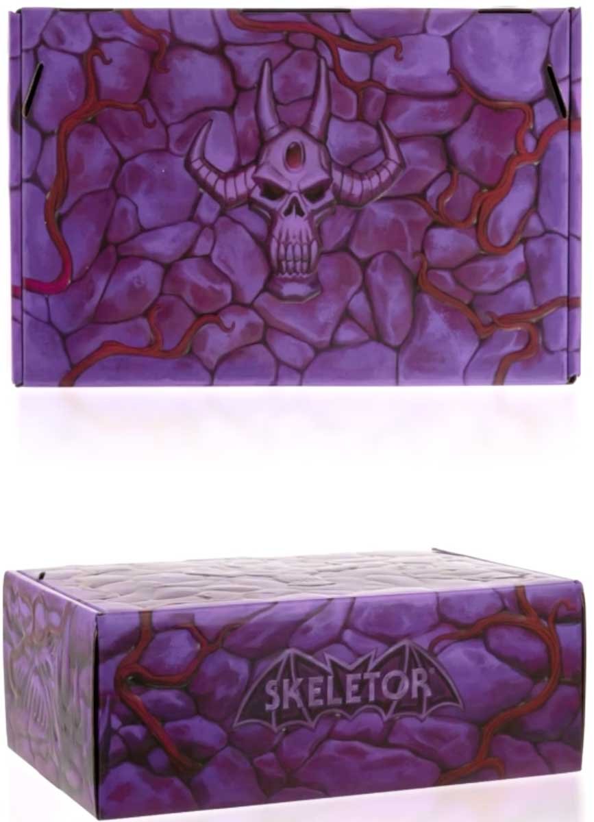 Skeletor-and-Bone-Throne-New-Eternia-Masterverse-Figure-Box-6