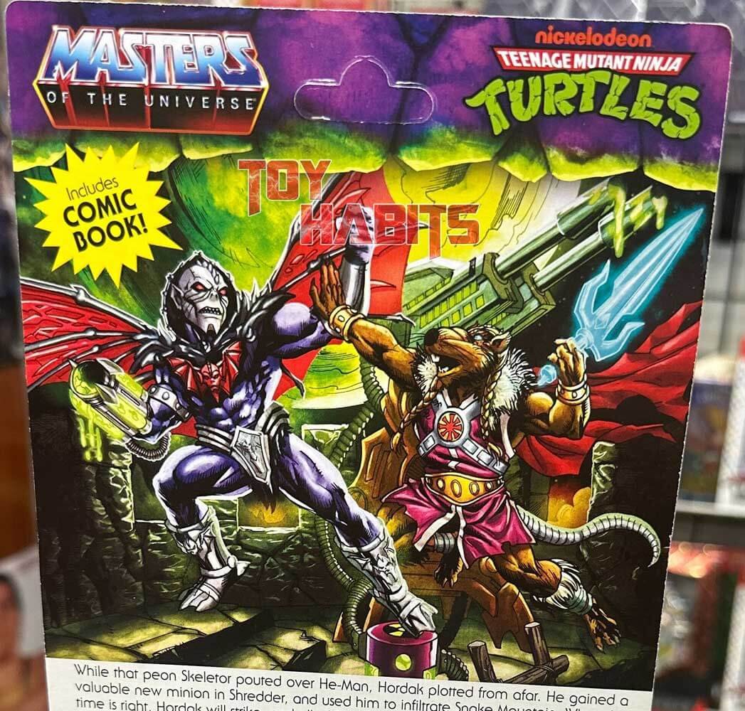 Turtles-of-Grayskull-Hordak-Wave-4-package-rear-close-in-hand