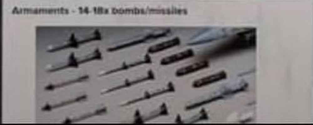 Cobra-Rattlor-HASLAB-early-image-7