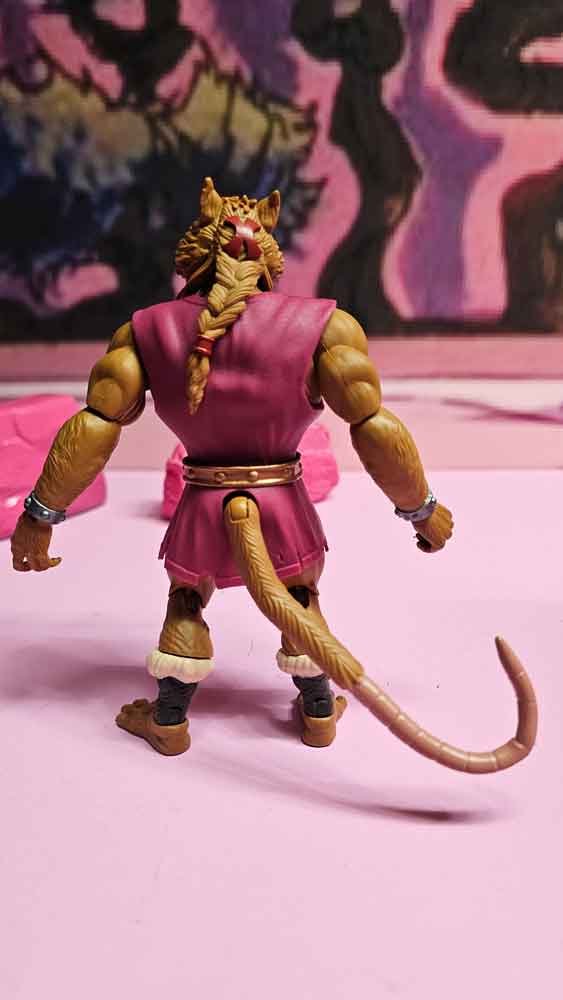 Splinter-Skull-Turtles-of-Grayskull-rear-IH