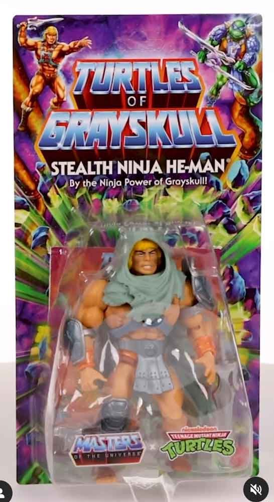 Stealth-Ninja-He-Man-Turtle-of-GRayskull-Package-front