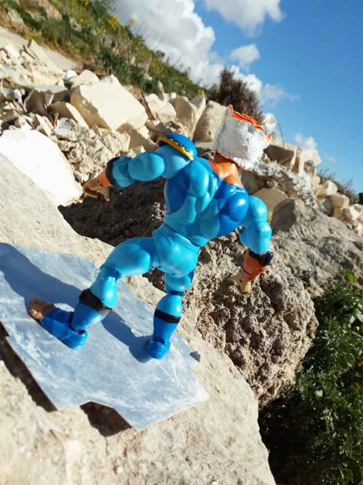 MOTU-X-ThunderCats-Crossover-Concept-Tygra