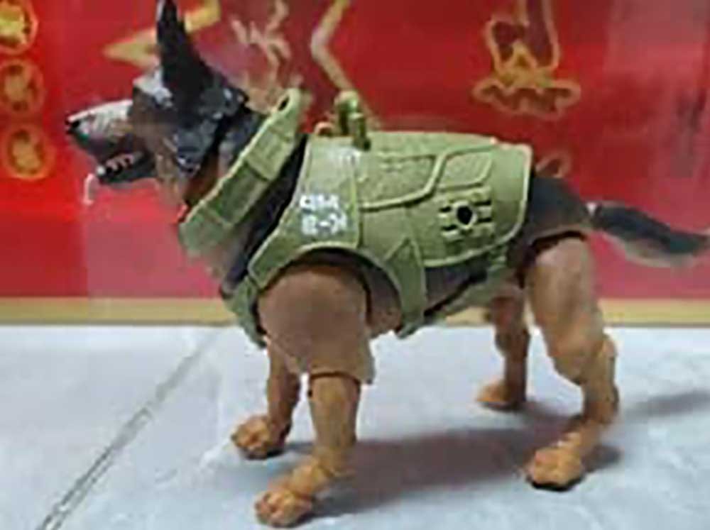 Order-GI-Joe-Classified-Series-Preproduction-1