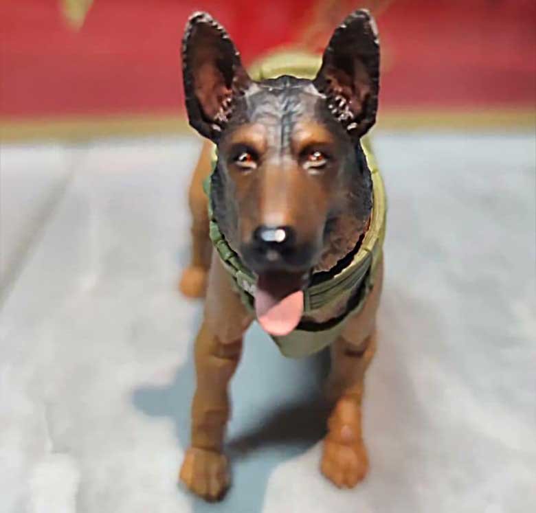 Order-GI-Joe-Classified-Series-Preproduction-3