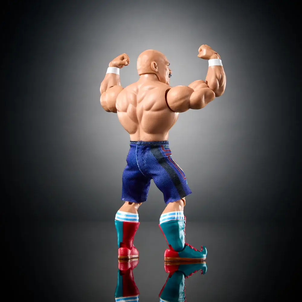 JGM44-IronSheik-WWE-Superstars14-Figure-Spotlight-B
