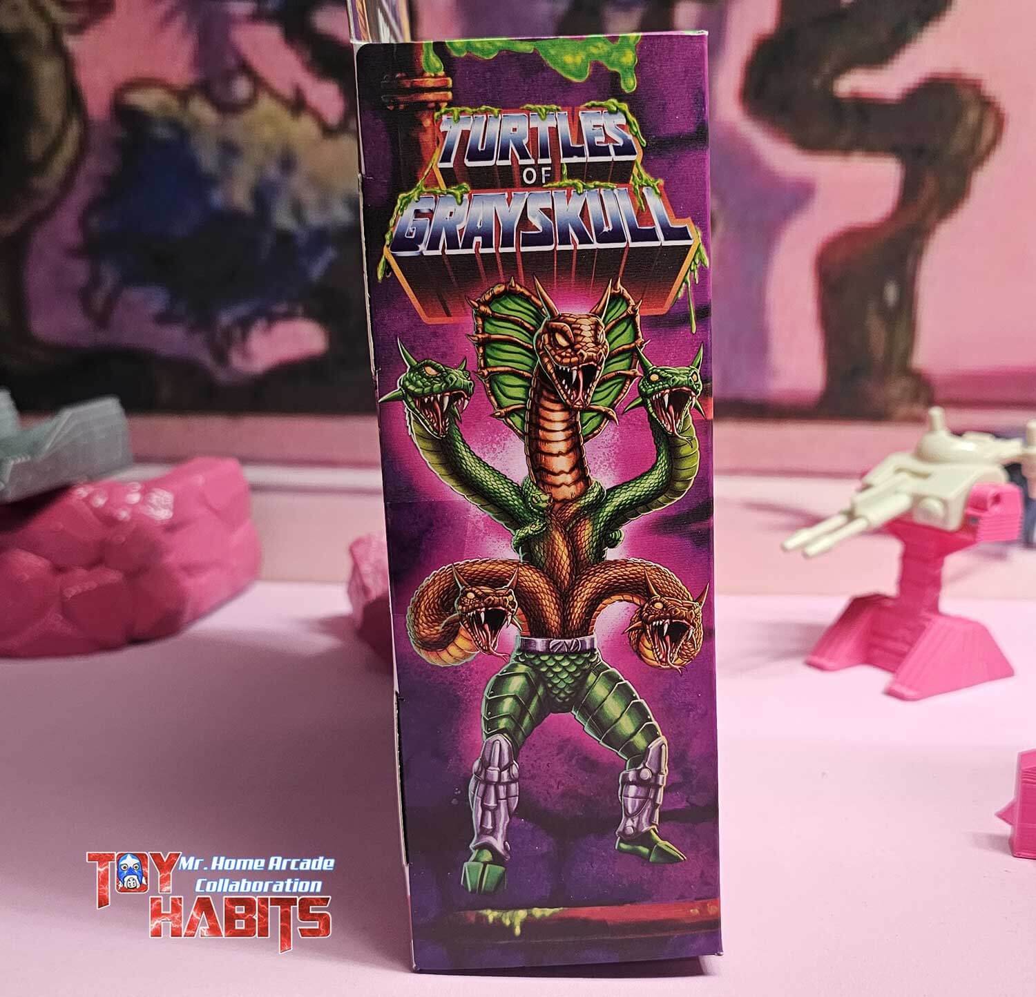 King-Hiss-Foot-Soldier-Turtles-of-Grayskull-Deluxe-Box-Side