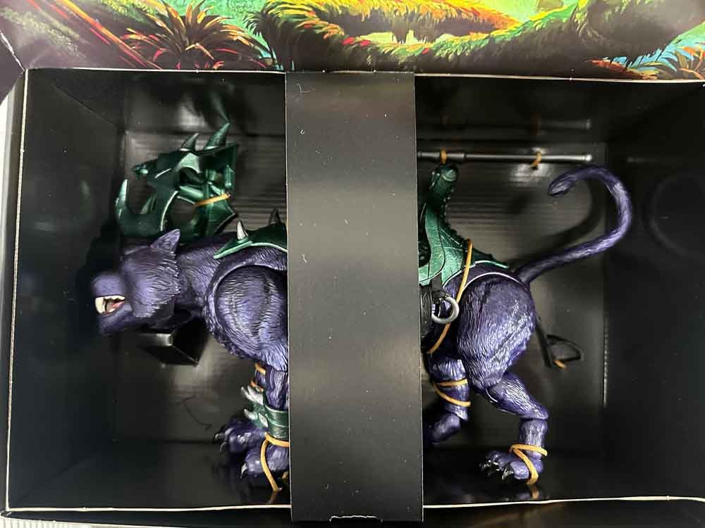 New-Eternia-Panthor-Masterverse-box-contents-IH