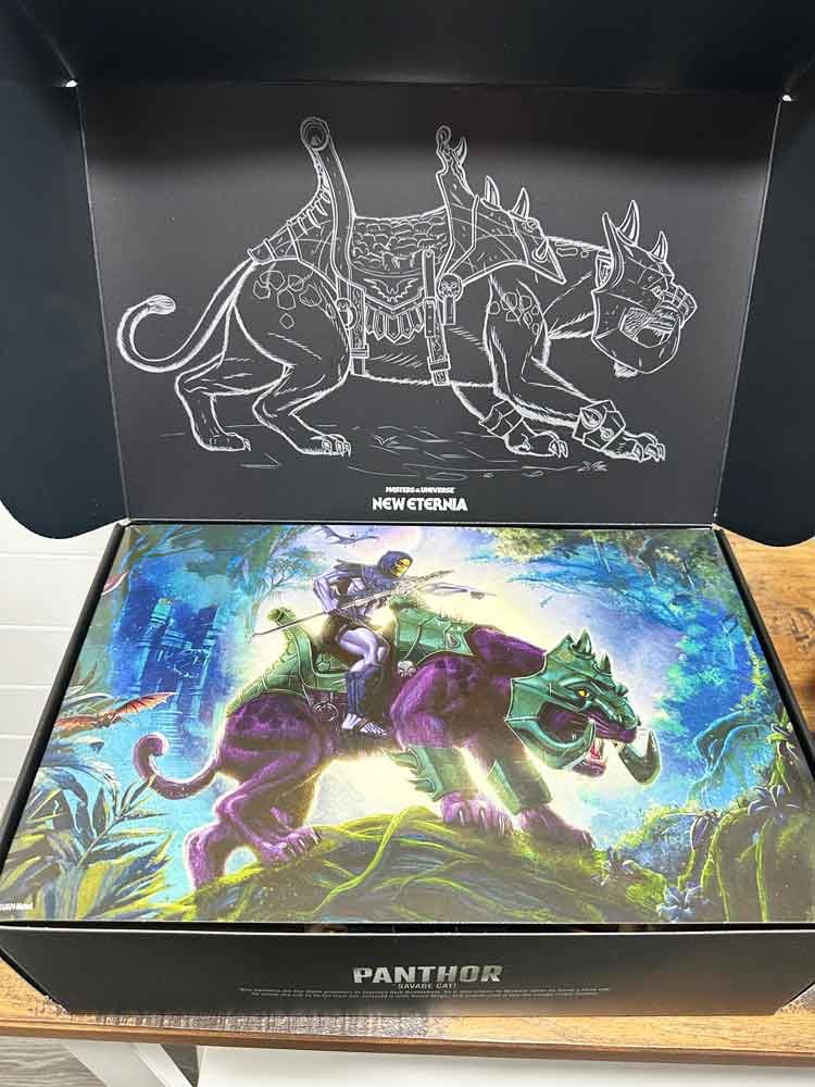 New-Eternia-Panthor-Masterverse-box-inside-1-IH