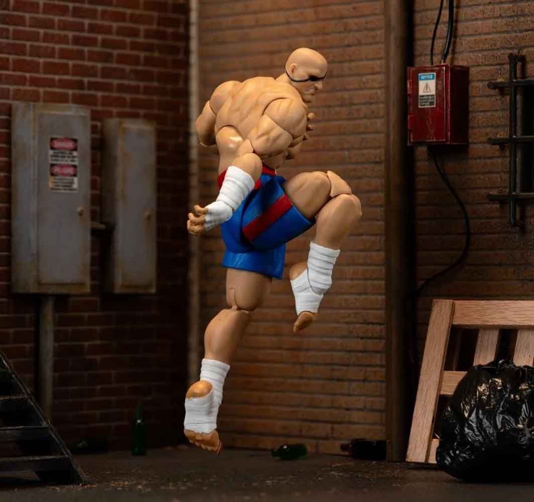 Ultra-Street-Fighter-II-The-Final-Challengers-Sagat-6