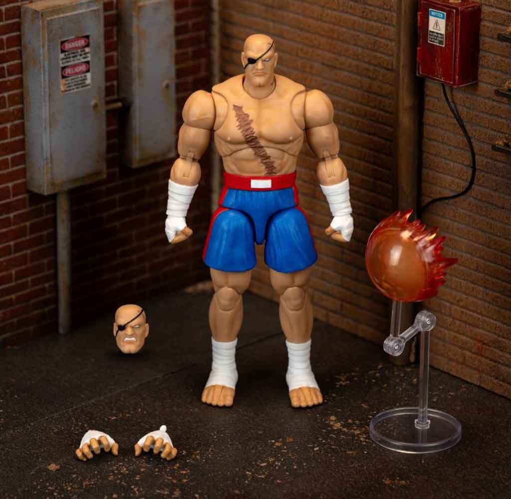 Ultra-Street-Fighter-II-The-Final-Challengers-Sagat-pack-out