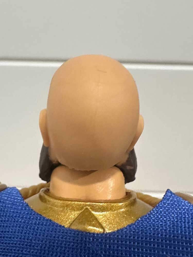 New-Eternia-King-Randor-Masterverse-IH-head-rear-bald