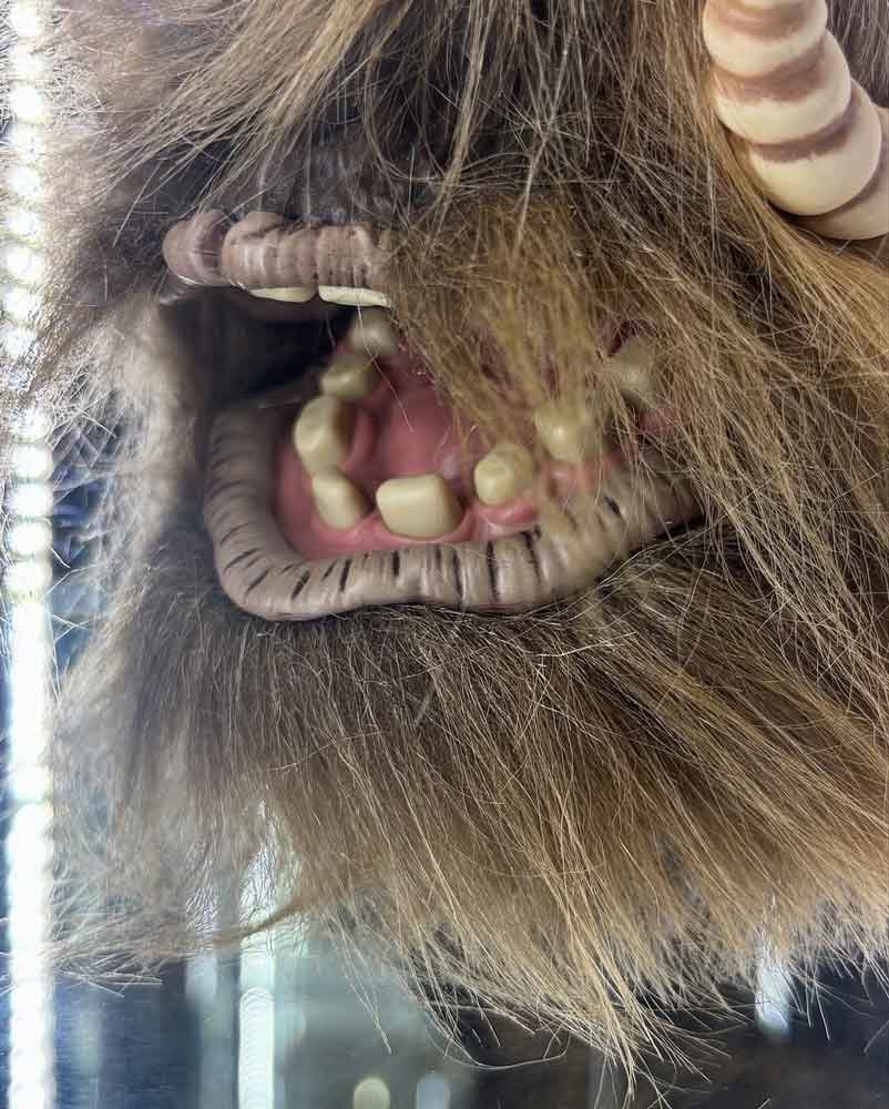 Bantha-&-Tuskan-Raider-The-Vintage-Collection-Star-Wars-Celebration-Reveal-7