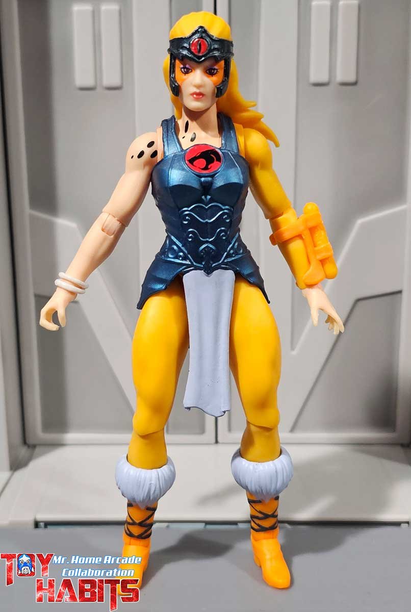 Cheetara-MOTU-Origins-ThunderCats-MHA-11