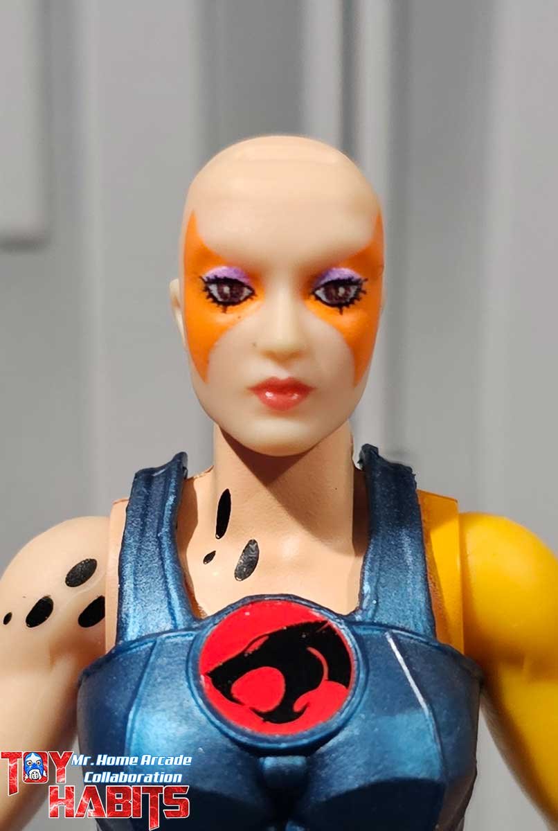 Cheetara-MOTU-Origins-ThunderCats-MHA-15