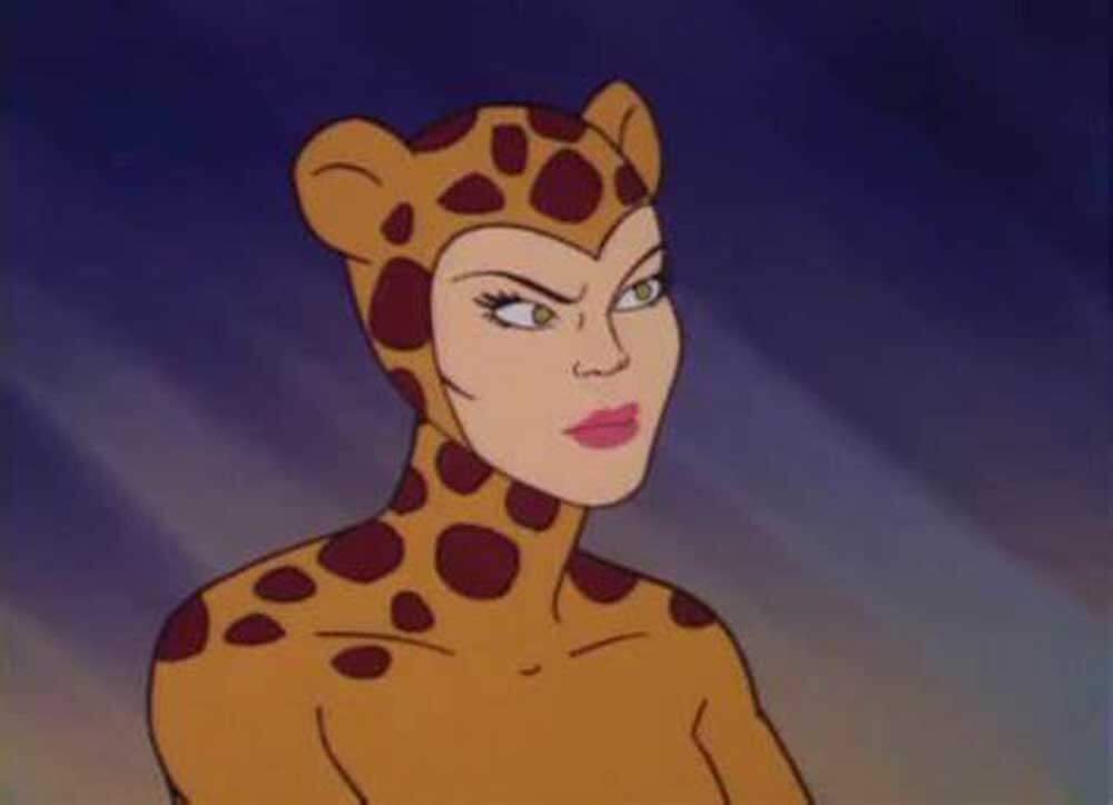 Superfriends-cheetah