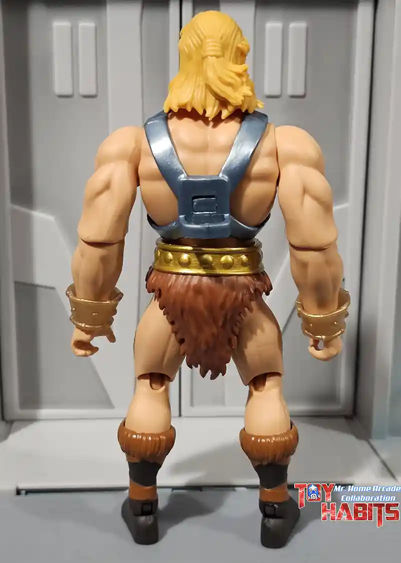 He-Man MOTU Origins ThunderCats Wave 2 MHA 12