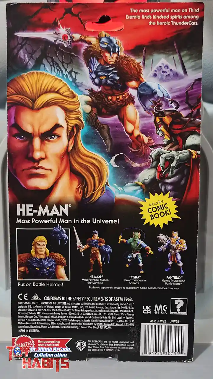 He-Man MOTU Origins ThunderCats Wave 2 MHA Card Back