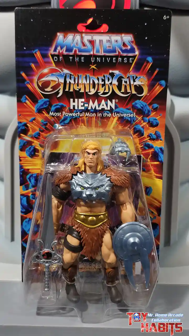 He-Man MOTU Origins ThunderCats Wave 2 MHA Card Front