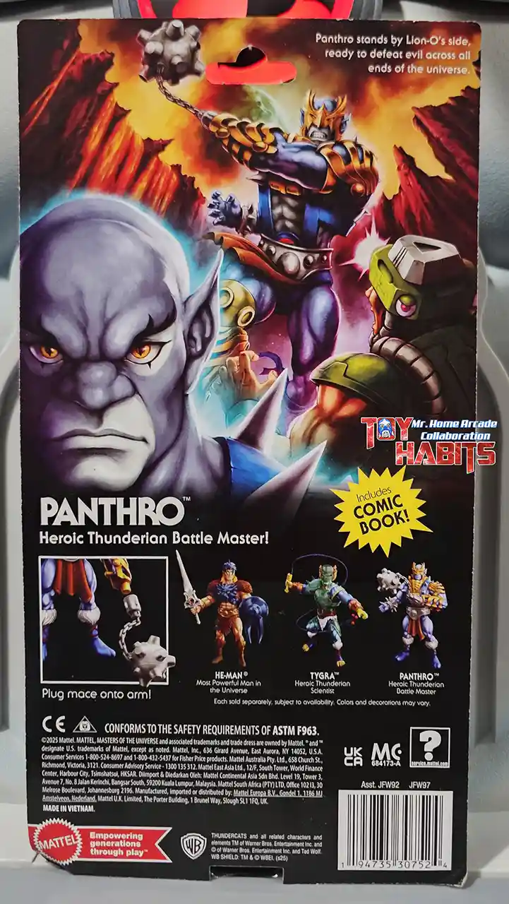 Panthor MOTU Origins ThunderCats Wave 2 MHA Card Back