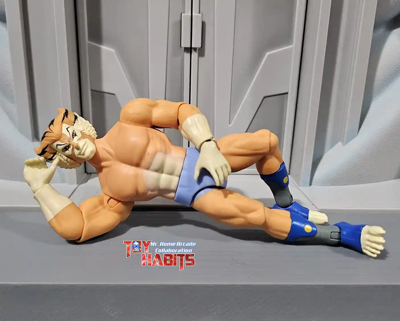 Tygra MOTU Origins ThunderCats Wave 2 MHA 19