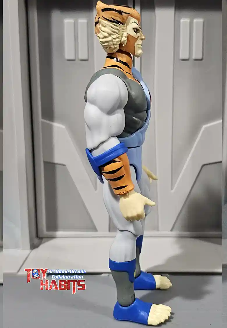 Tygra MOTU Origins ThunderCats Wave 2 MHA 7