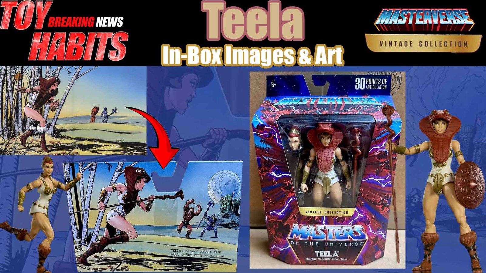 Teela-Masterverse-Vintage-Collection-In-Box-Images