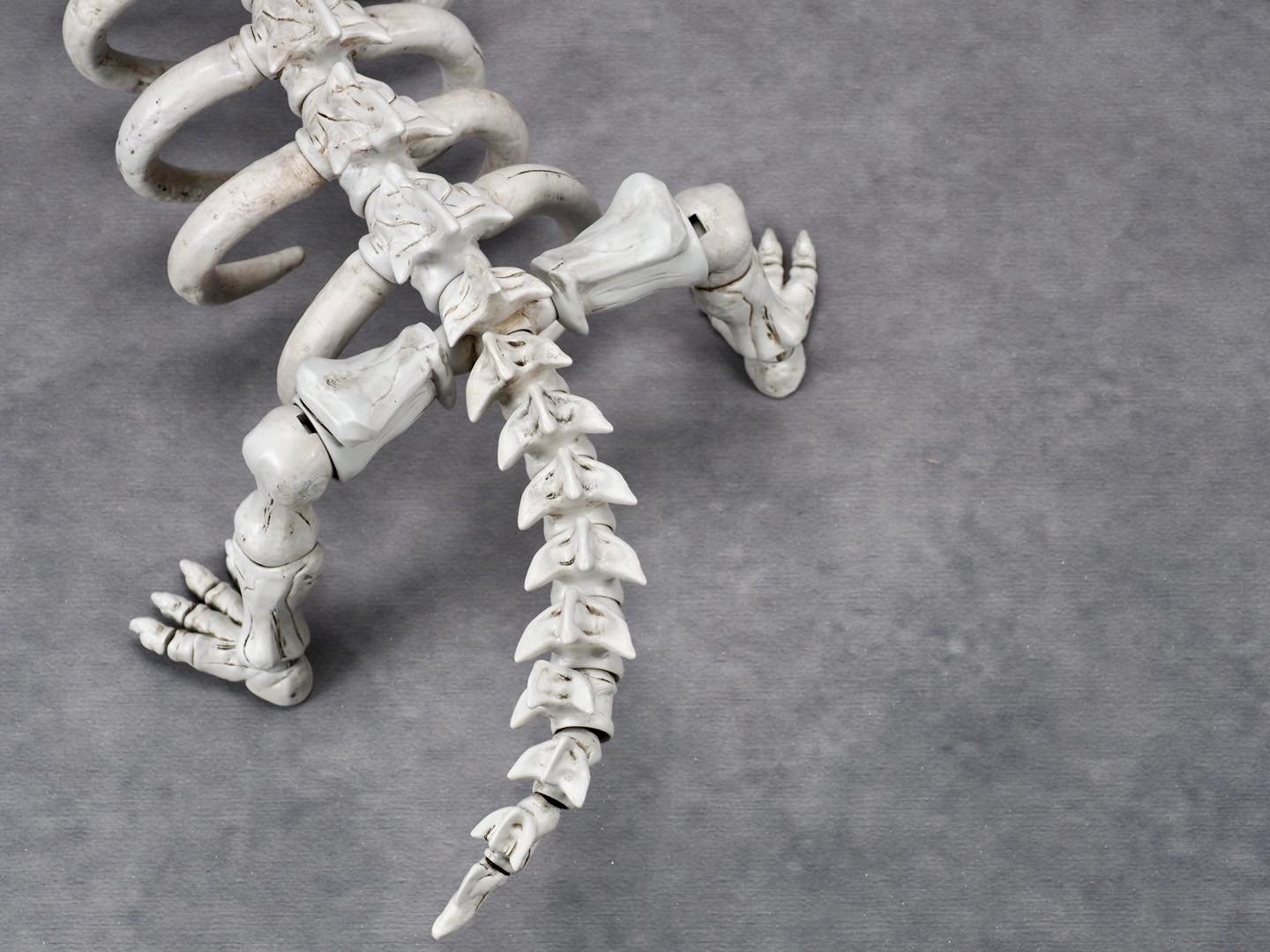 Bad to the Bone Ramen Toy Preorder 4