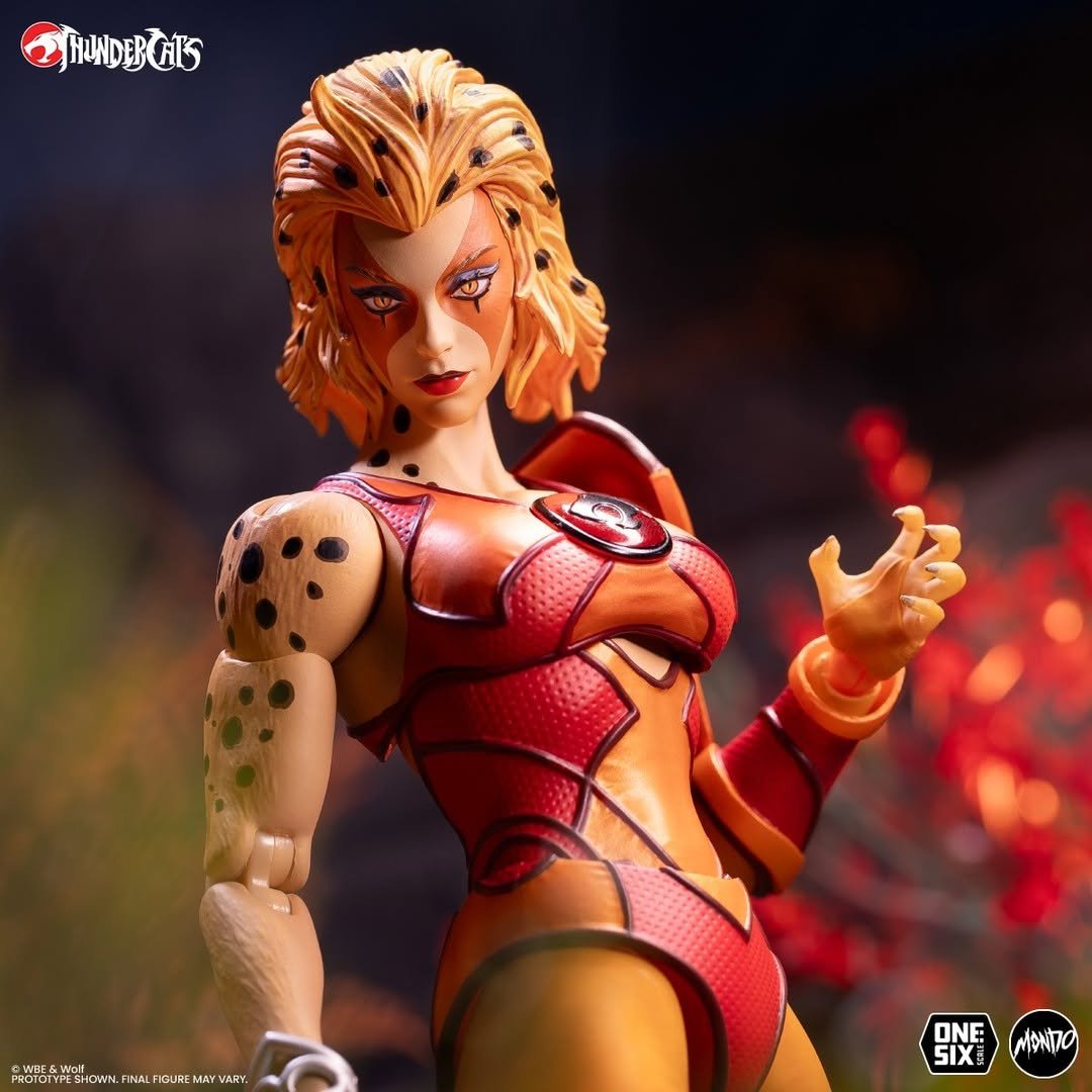 Cheetara Mondo ThunderCats Sixth Scale 3