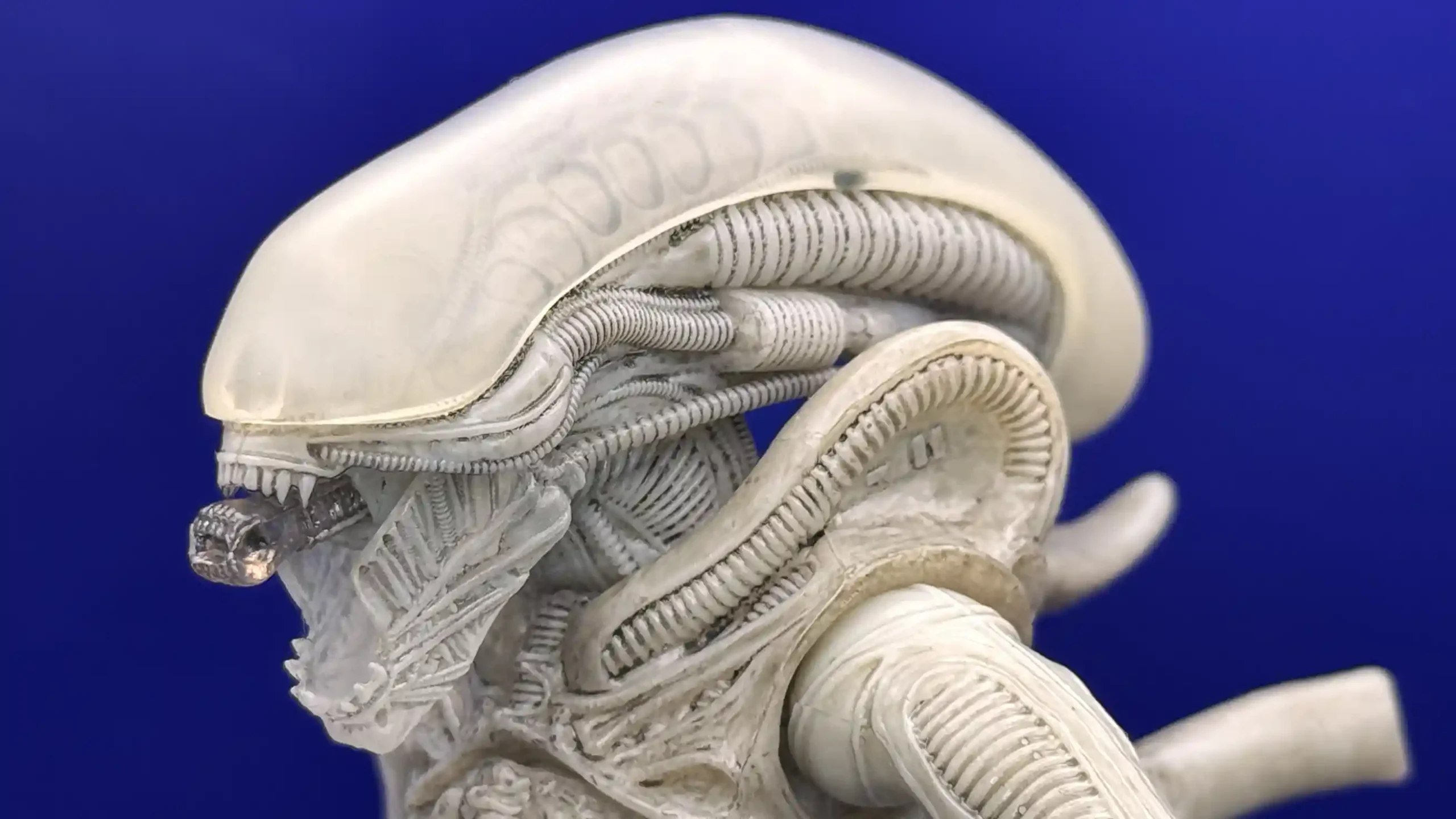 Alien Xenomorph Twelfth Scale Concept Edition Exclusive Figure Review17