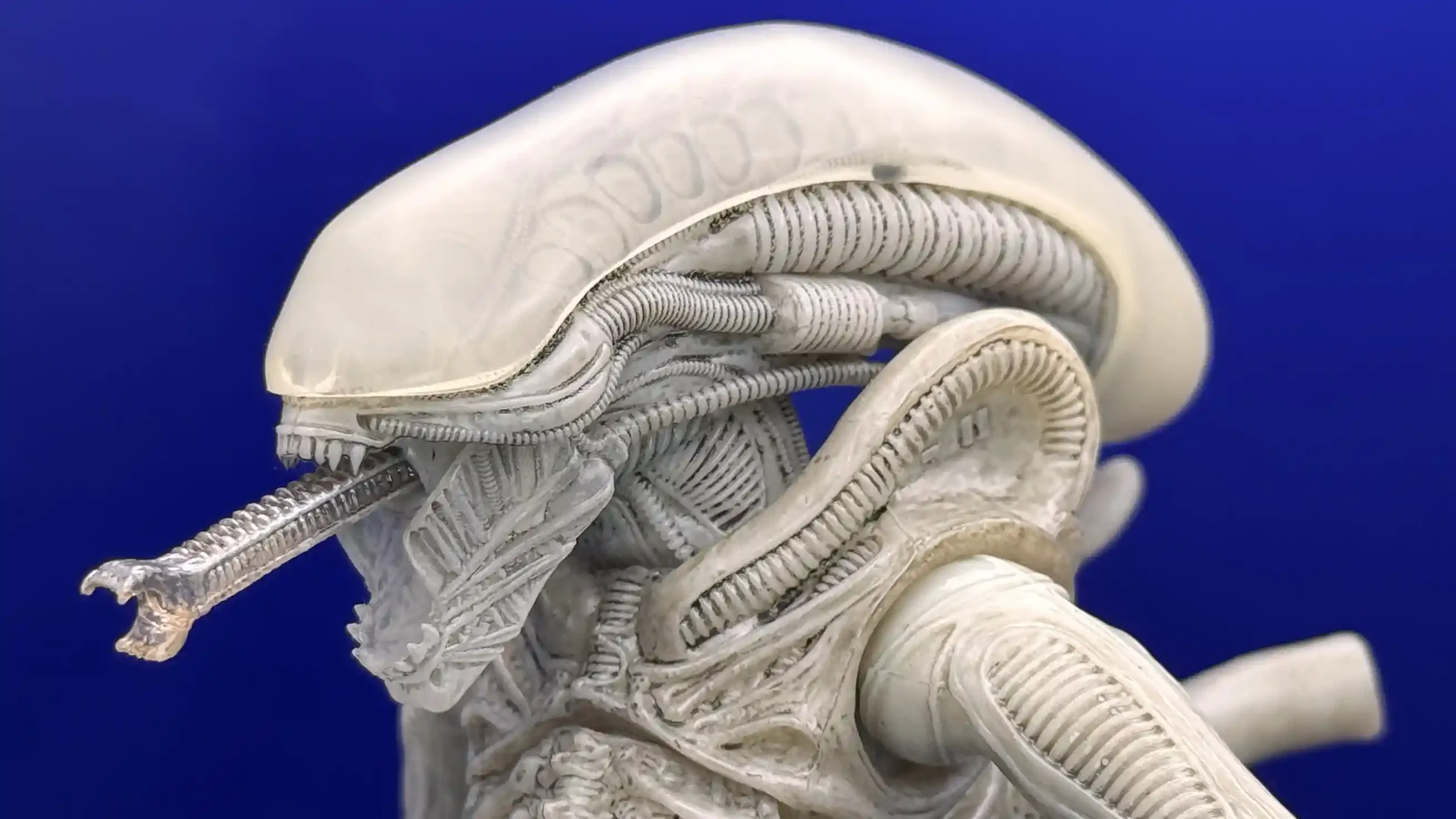 Alien Xenomorph Twelfth Scale Concept Edition Exclusive Figure Review18