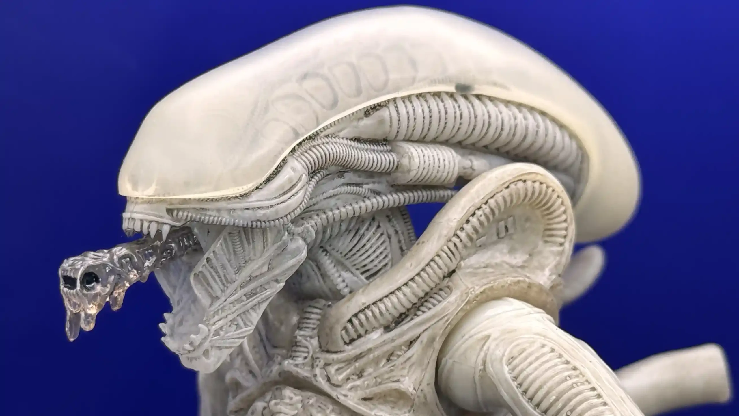 Alien Xenomorph Twelfth Scale Concept Edition Exclusive Figure Review19