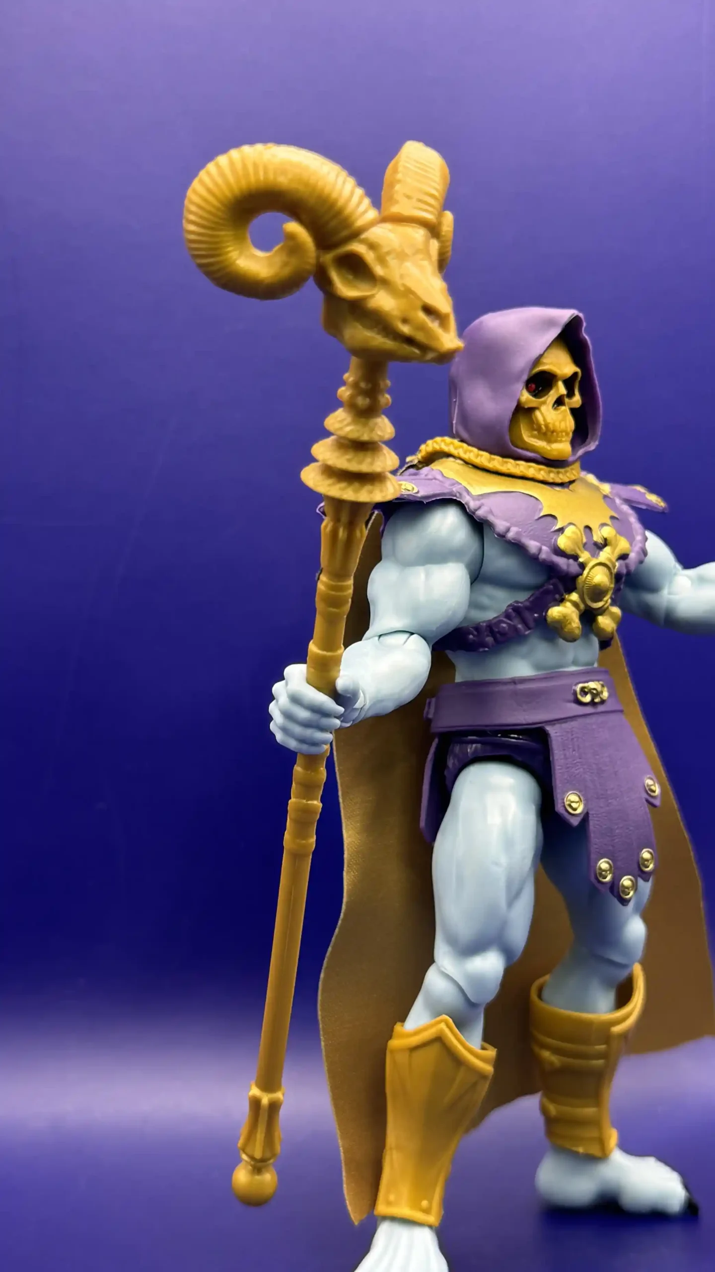 Gold Acala Skeletor Core MOTU Variant Review 9